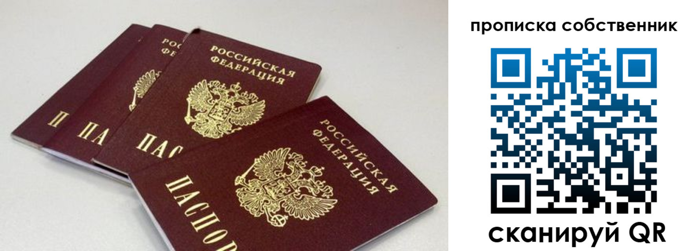 где прописаться в Светлогорске