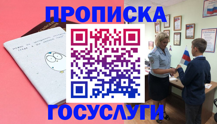 временная регистрация надежно в Светлогорске